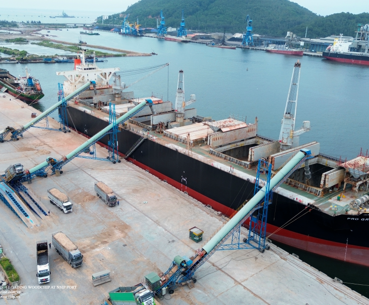 MV PRO GRACE V.2510