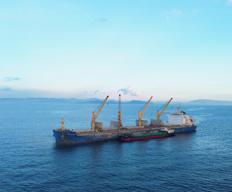 MV FENG SHOU HAI